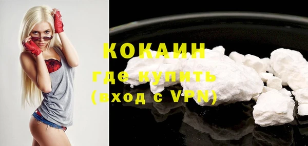 2c-b Бородино