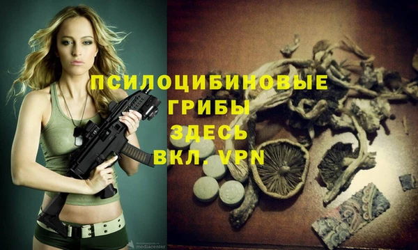 2c-b Бородино