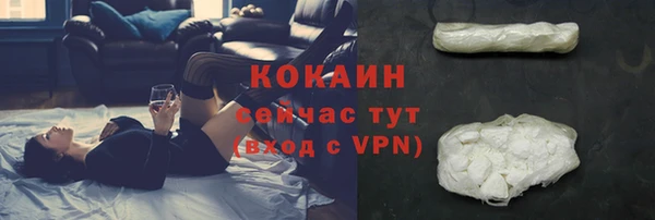 2c-b Бородино