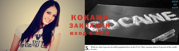 2c-b Бородино