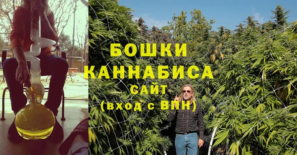 2c-b Бородино