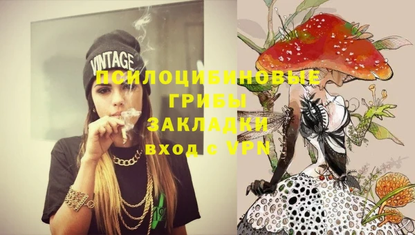 Альфа ПВП Бугульма