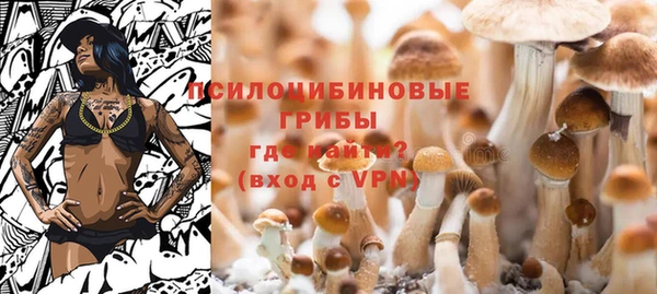2c-b Бородино