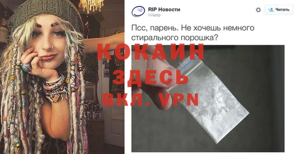 гидра Бронницы