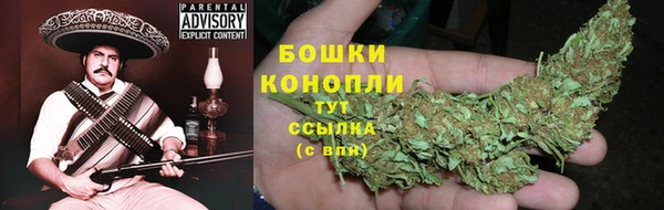 2c-b Бородино