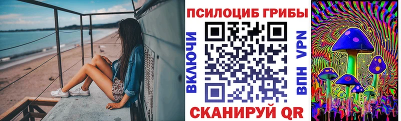 Псилоцибиновые грибы GOLDEN TEACHER  наркотики  Котово 